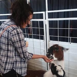 Meet your Posher, Cristal